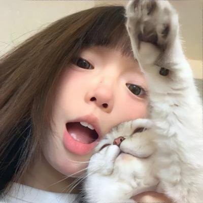 差利谐片集 海报